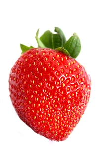 Food healthy summer