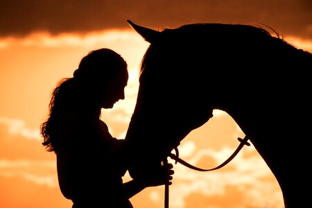 Woman horse silhouette
