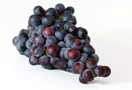 Grape fruits photo