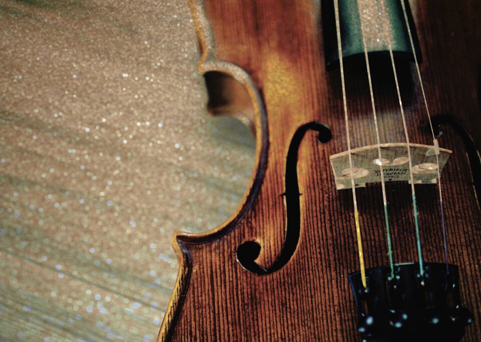 Violin musical instrument