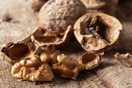 Walnut food