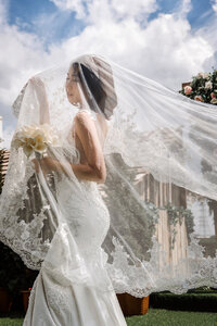 Wedding dress bride