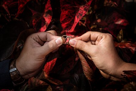 Wedding rings hands