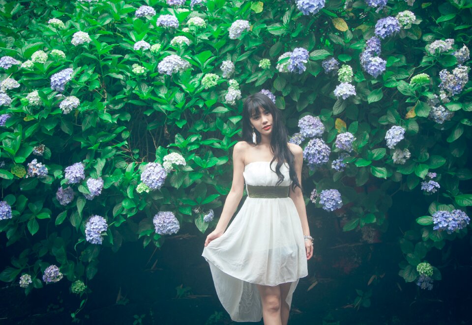 Woman girl portrait hydrangea