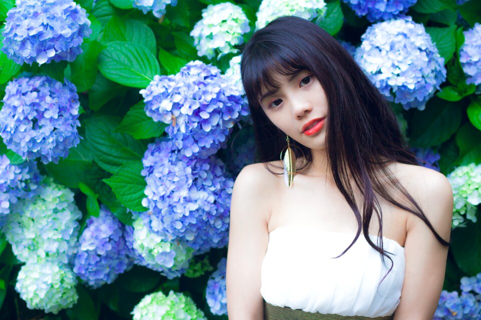 Woman girl portrait hydrangea