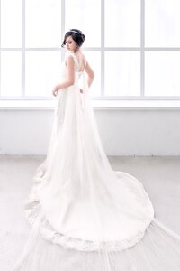 Bride wedding dress