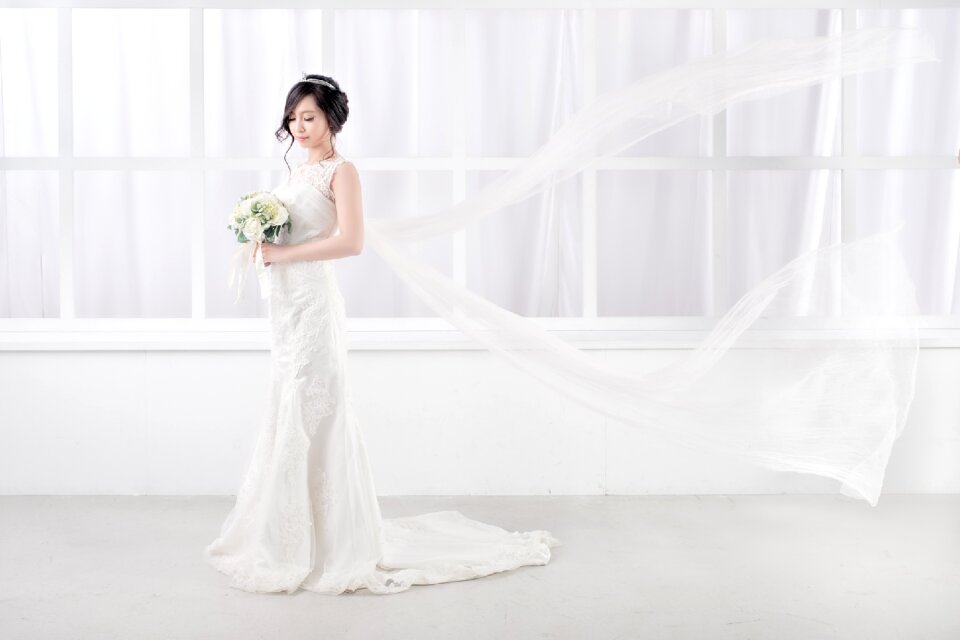 Bride wedding dress