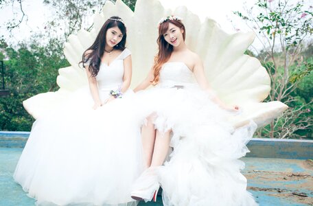 Brides wedding dress