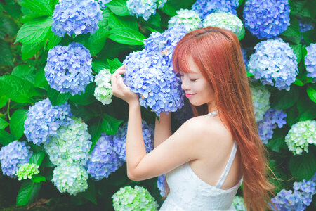 Woman girl portrait hydrangea