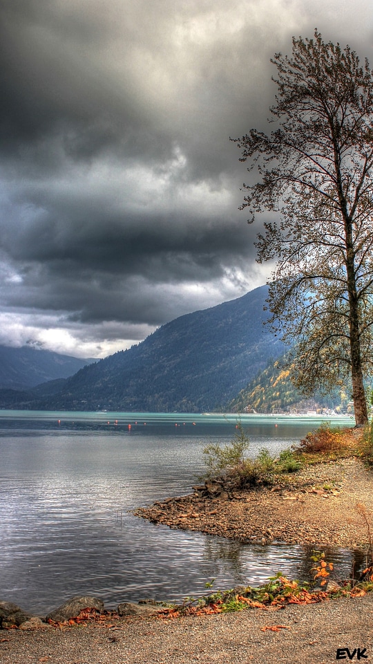 Scenery natural wild