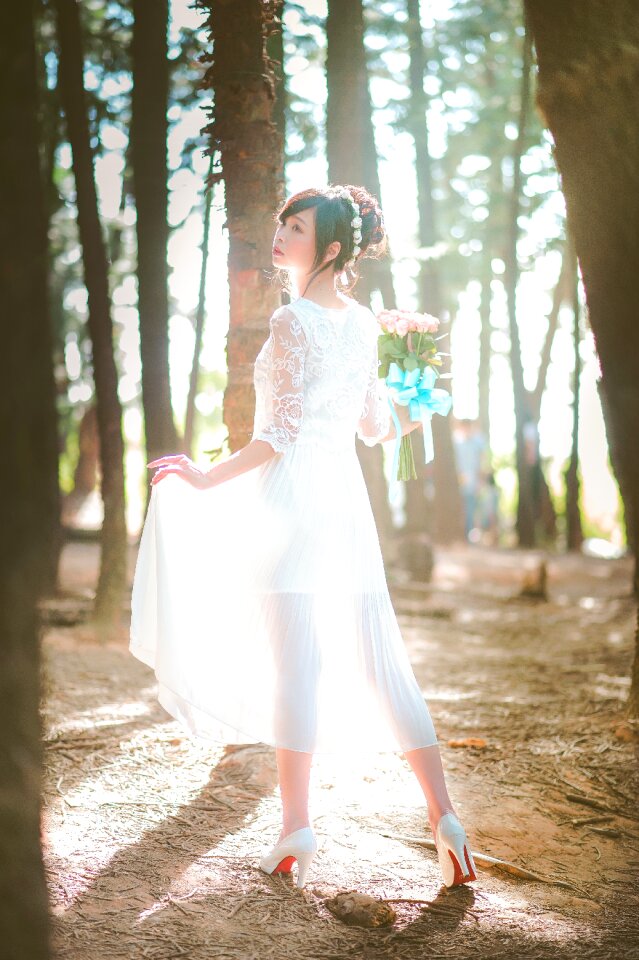 Bride wedding dress photo