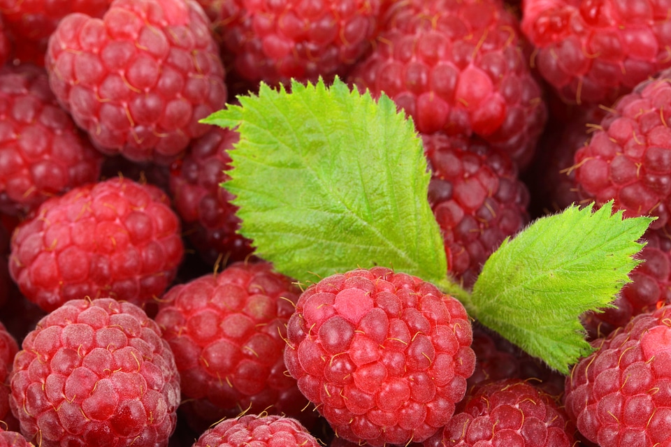 Food fresh fruit