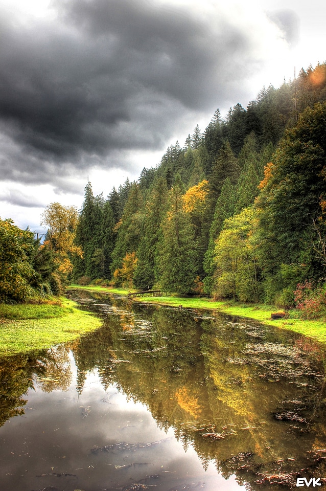 Landscape trees sky
