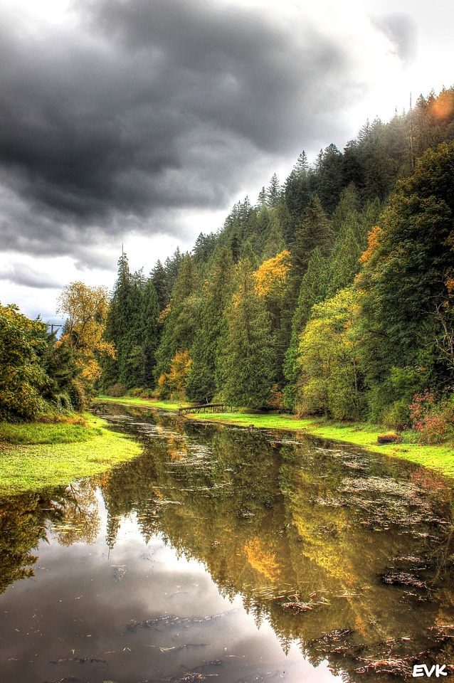 Landscape trees sky photo