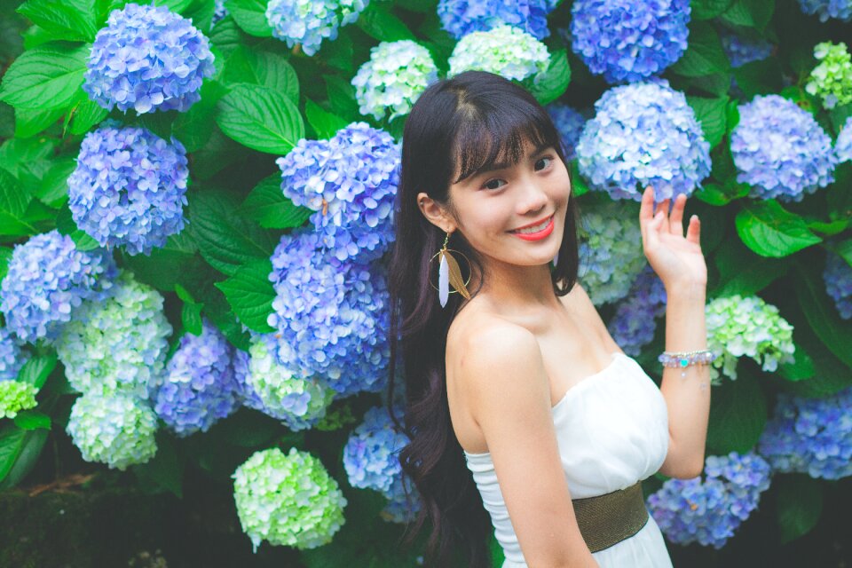 Woman girl portrait hydrangea