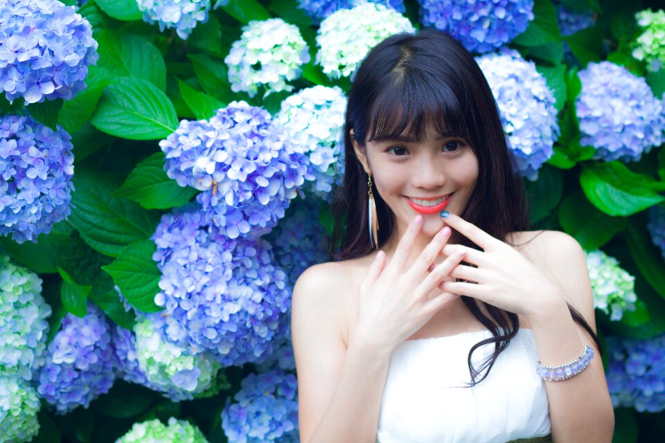 Woman girl portrait hydrangea