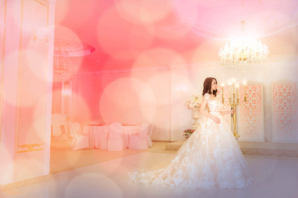 Wedding dress bride