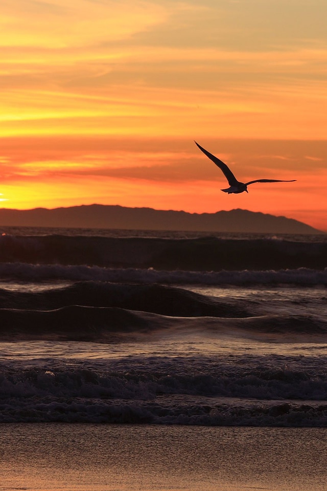 Coast huntington beach