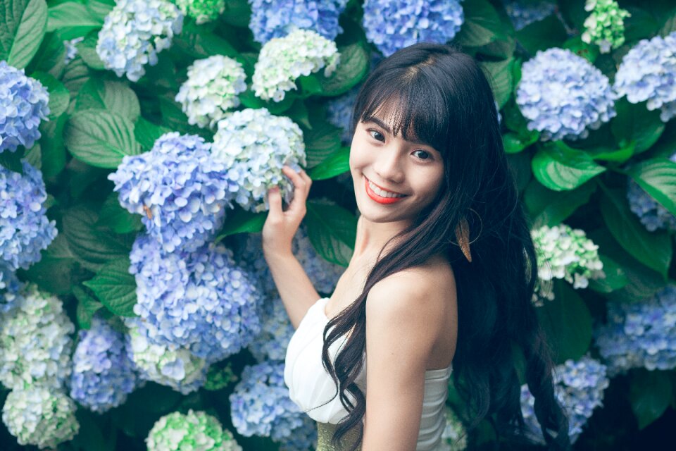 Woman girl portrait hydrangea