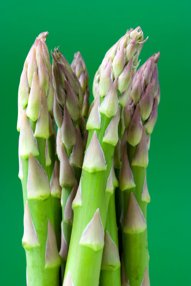 Asparagus vegetable