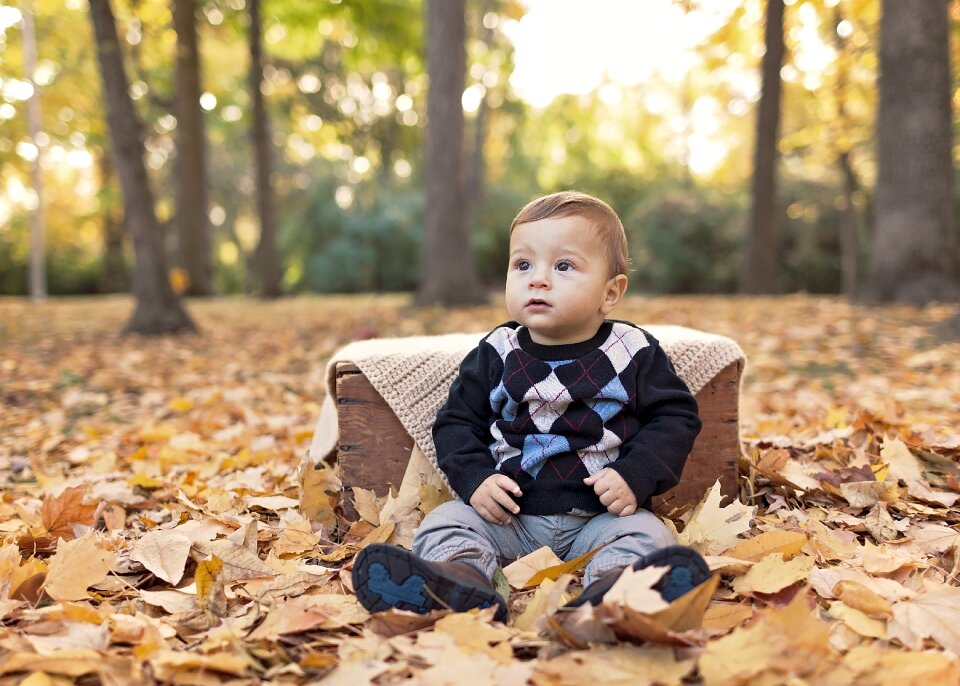 Baby child portrait