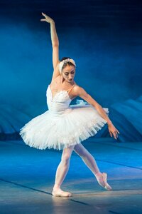 Ballet ballerina