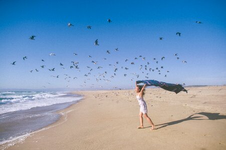 Beach woman birds photo