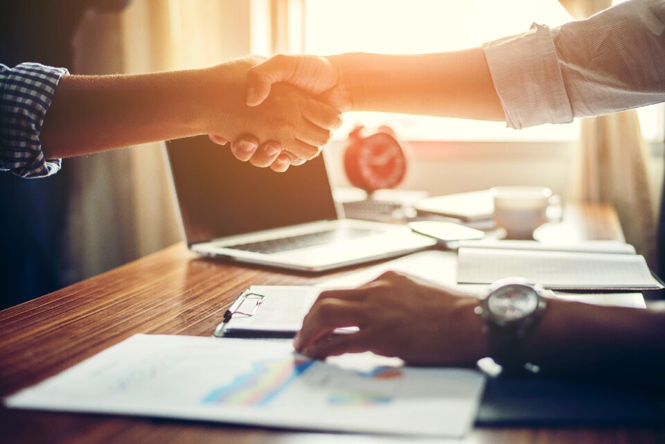 Business handshake hands