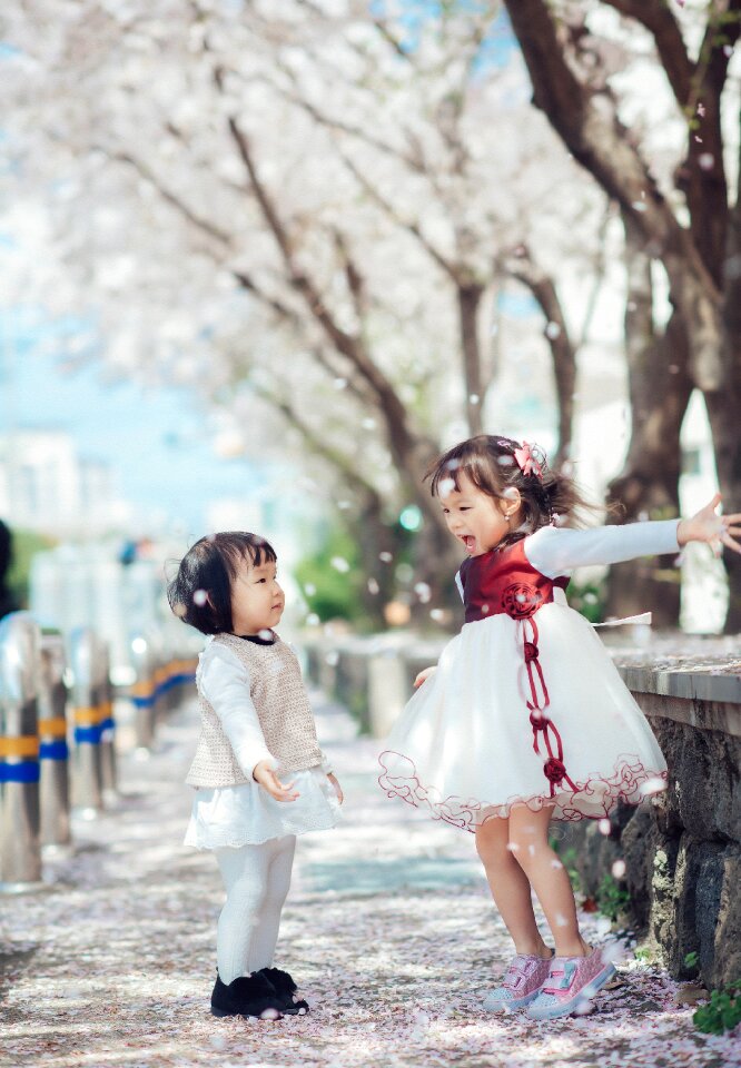 Cherry blossoms sister children