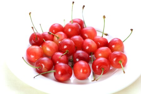 Cherry fruit photo