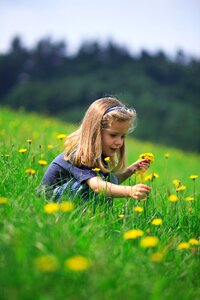 Child girl picking flowers