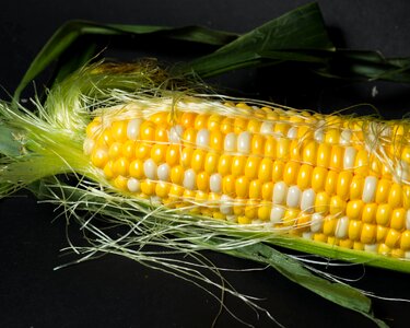 Corn vegetable
