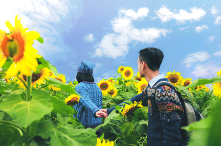Couple sunflower holding hands