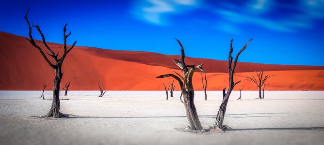 Deadvlei namibia desert