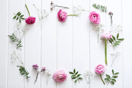 Flower plant frame