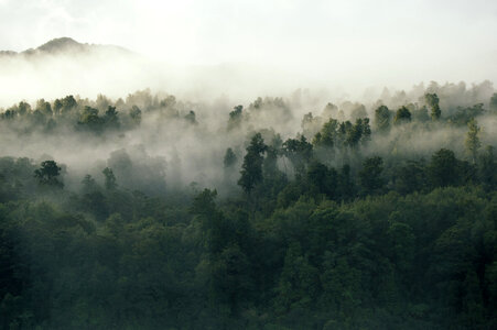 Fog mountain photo