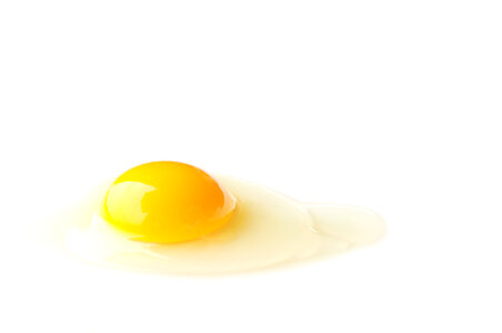 Fresh egg