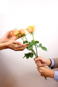 Gift bouquet love photo