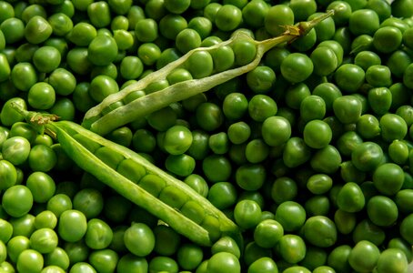 Green pea bean photo