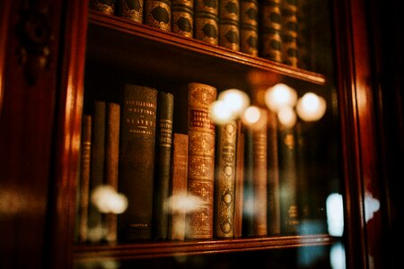 Library books bookshelf photo