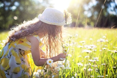 Little girl daisies grass