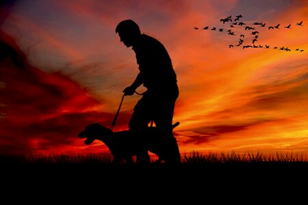 Man dog sunset photo
