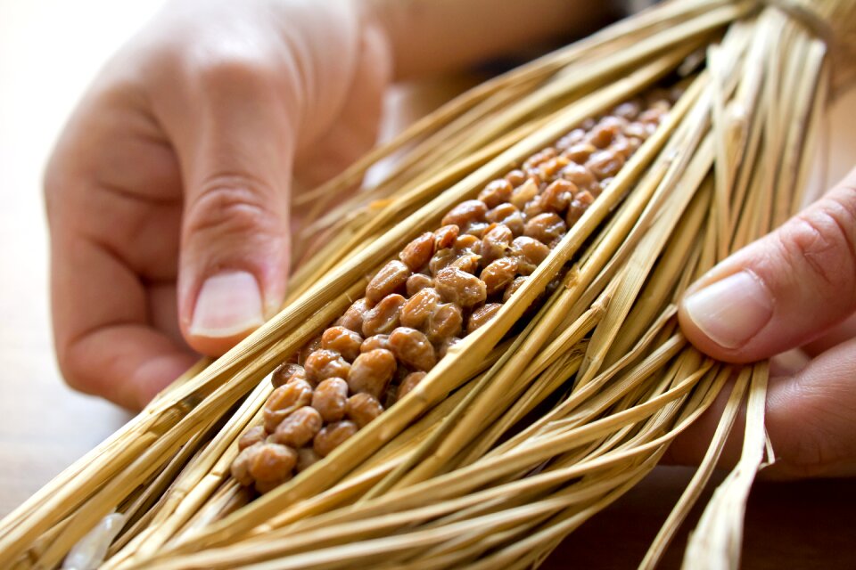 Natto japanese food