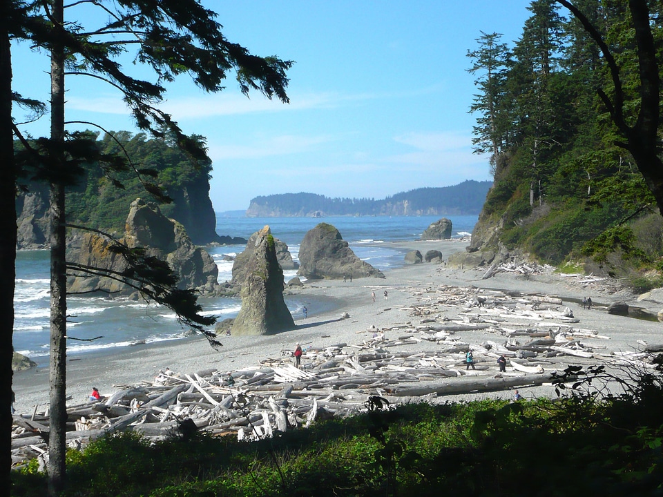 Usa landscape shoreline