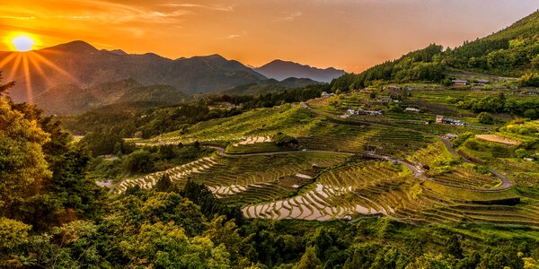 Rice terraces sunset