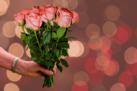 Roses bouquet gift photo