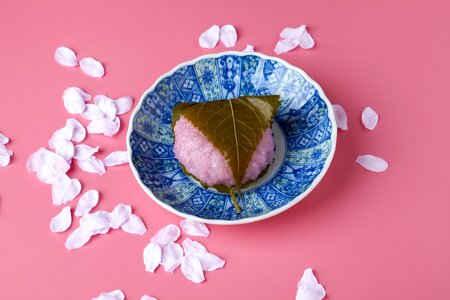 Sakuramochi wagashi