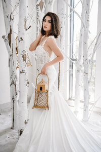 Wedding dress bride