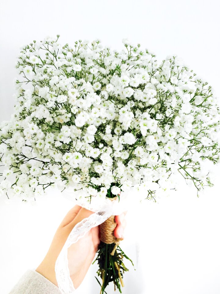Showy babys breath bouquet