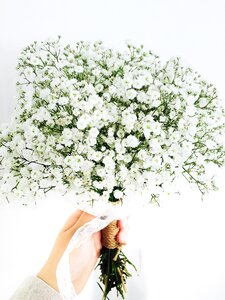 Showy babys breath bouquet photo